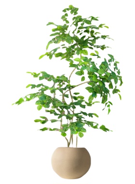 幸福树仿真绿植客厅大型落地假