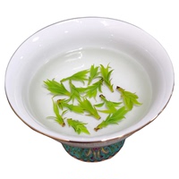 嫩芽特級小葉苦丁茶四川青山綠水