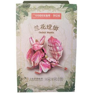 中国国家地理梦巴格昆虫纸质3D拼装玩具手工DIY益智儿童玩具