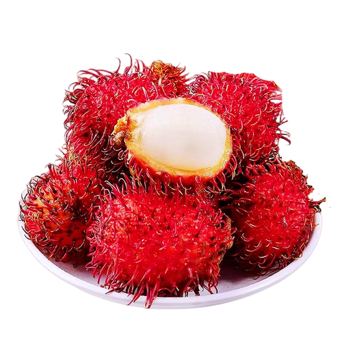 红毛丹树苗嫁接双季海南保亭七号红毛丹树苗南方盆栽地栽当年结果