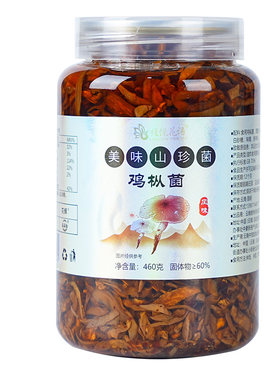云南特产油鸡枞即食下饭菜牛肝菌松茸菌香菇酱小零食罐装批发菌菇