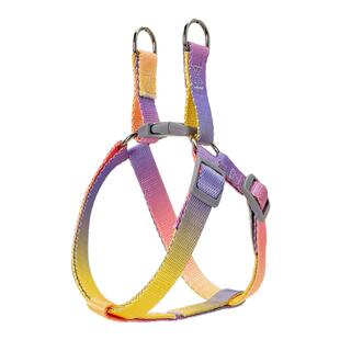 狗狗胸背带小型犬牵引绳小鹿犬泰迪比熊遛狗绳幼犬猫咪外出牵狗绳