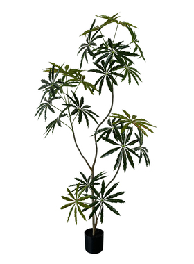 高级仿真孔雀木客厅落地盆栽