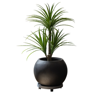 掬涵复古镁泥花盆水泥花器家用大号客厅龟背竹发财树轻奢盆栽盆子