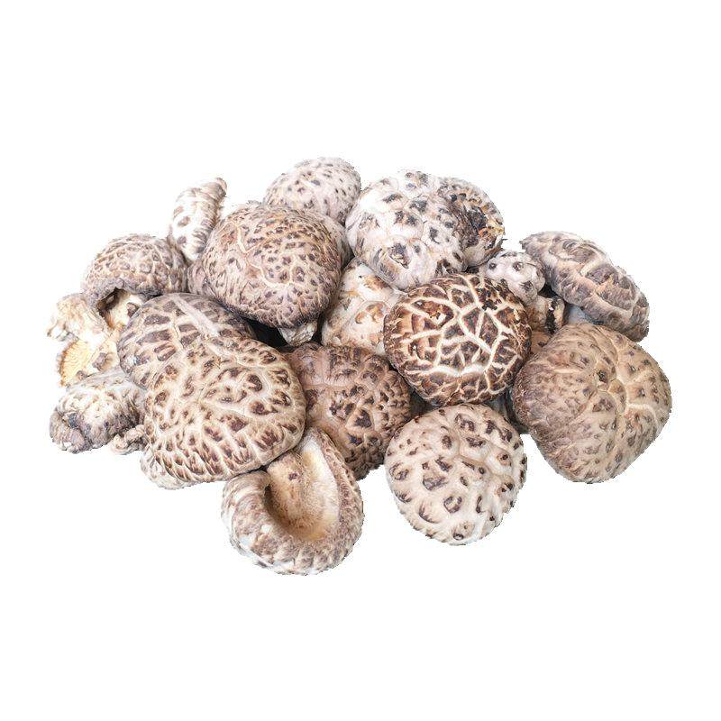 白花菇干货椴木野生香菇湖北特产