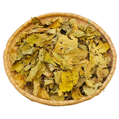 正宗高山霜桑叶野外生长泡茶500g