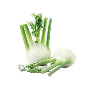 【YIKECAI】茴香头500g 新鲜茴香根茴香球茎 西餐料理香料食材