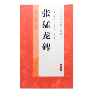 张猛龙碑 经典与传承系列书法碑帖北魏碑放大字帖临摹楷书行书字帖技法详解高清精粹中央美术学院书法博士推荐用书张猛龙碑书