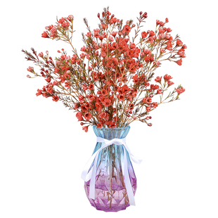 澳洲腊梅鲜花花束客厅摆设云南基地直发水养插花鲜切花摆件年宵花