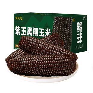 灶小美玉米新鲜黑糯玉米早餐粗粮真空装加热即食苞谷粘拉丝玉米棒