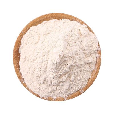 纯大蒜粉新货蒜粉调料500g香料