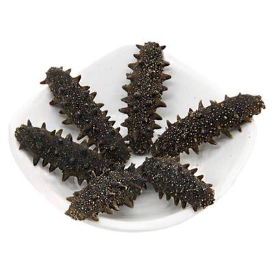 红胡子山东青岛海参6-孕妇礼盒装