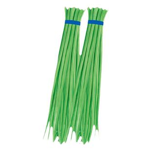 青豉豆种子压塌架菜园春秋季姜豆菜籽室外室内阳台种盆栽蔬菜种子