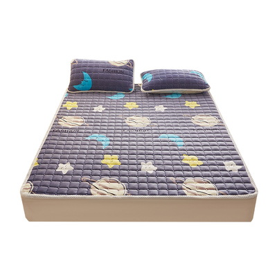 冬季牛奶绒毛毯床垫双人加厚垫被