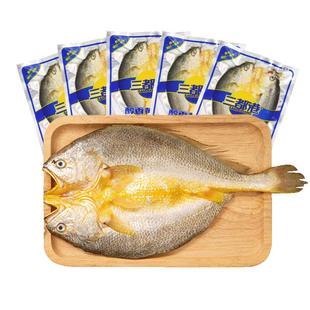 三都港黄鱼鲞宁德黄花鱼大黄鱼小黄鱼海鲜生鲜冷冻海鱼5条共2斤