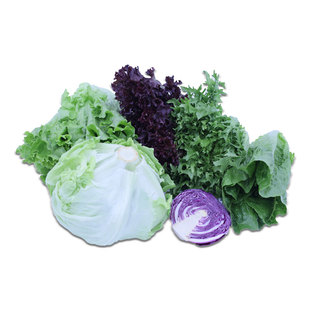 沙拉蔬菜自选组合套餐轻食材新鲜混合生菜可生吃凉拌轻食西餐专用