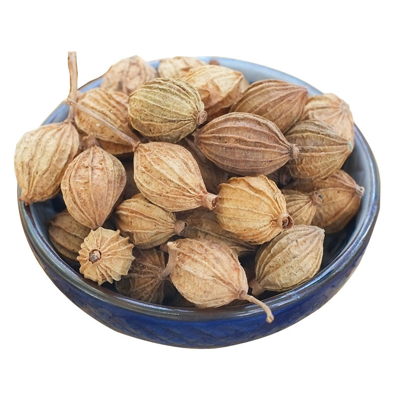 香砂仁250g炖肉秘制川菜调料