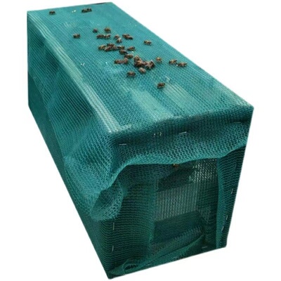 阿坝中蜂中华土蜂笼蜂出售包邮