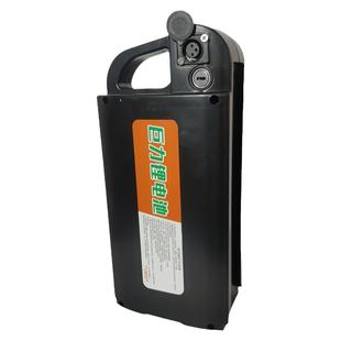 48v锂电池爱玛雅迪台铃电动车通用手提款电瓶12ah20ah带锁头款