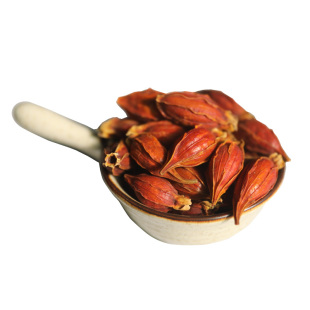 红栀子栀果可泡茶卤肉上色金黄卤菜卤肉香料调料大全商用色素500g