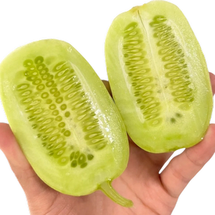 迷你玉女黄瓜种子金童拇指水果黄瓜苗西瓜四季蔬菜种子黄瓜苗大全