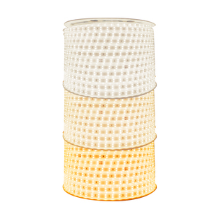 德力西灯带LED家用霓虹超亮变色防水贴片长条吊顶三色升级线灯条