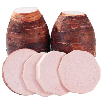 【正宗粉糯】广西荔浦大芋头现挖