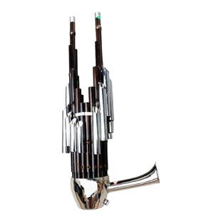 笙乐器初学者D调高音专业17簧扩音圆笙竹笙民间红白事降B调送笙包