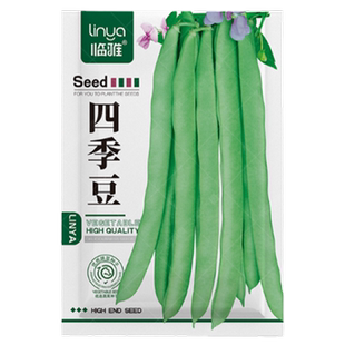 四季豆种孑豇豆蔬菜种子长豆角种籽芸豆高产农作物四季种播不搭架