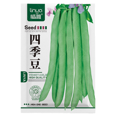 四季豆蔬菜种子撒籽就活四季豆