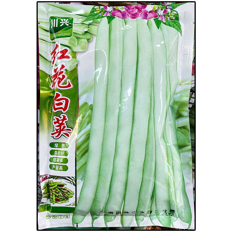 红花白荚500g四季豆蔬菜种子孑
