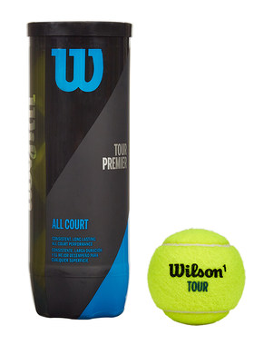 Wilson威尔胜美网法网用球多场地成人专业比赛训练3只罐装网球