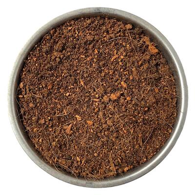 专用土育苗土金桔树酸性土壤