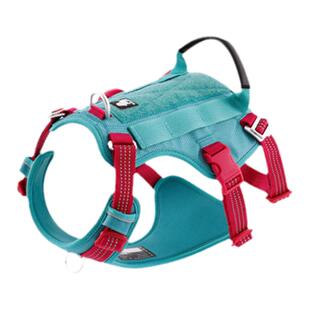 TRUELOVE狗狗牵引绳胸背带链子背心式中大型犬遛狗宠物用品防逃逸