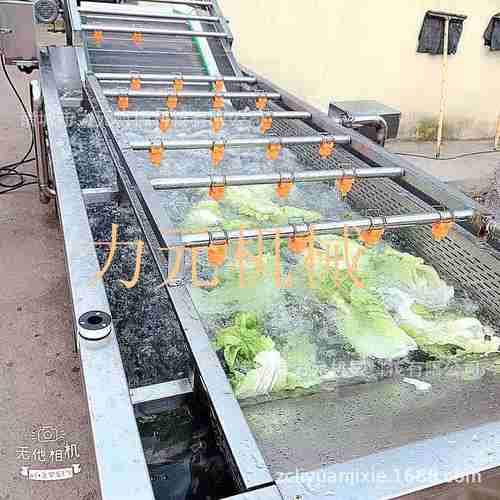 玉米气泡喷淋清洗机 大型商用多功能蔬菜清洗设备 辣椒大枣清洗机