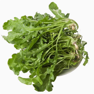 纯野生荠荠菜种子 特菜野菜种子农家老品种蔬菜种子春 四季播包邮