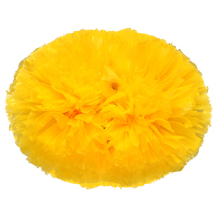 花球啦啦队啦啦球拉拉队手花花球跳舞花球学校啦啦操舞蹈演出道具