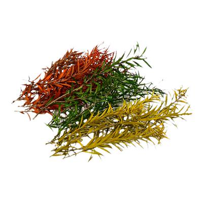TUMA天然植物配景绿植景观材料