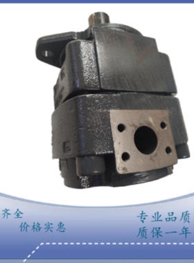 议价BUCHER 齿轮泵 定量泵 液压帮浦QX23-005R 油泵