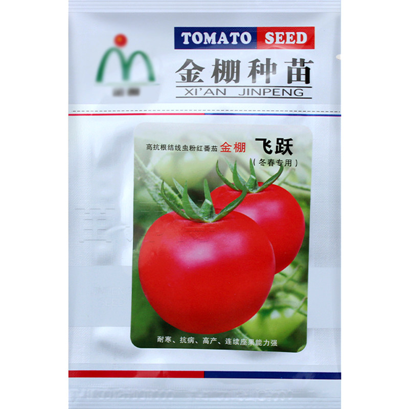 蔬菜金棚飞跃大粉四季番茄种子