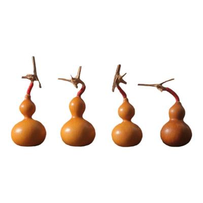 手捻小葫芦种子微型籽特美