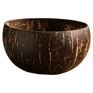 特别漂亮的碗酸奶碗ins风燕麦碗带勺椰子壳碗精致糖水碗小碗商用