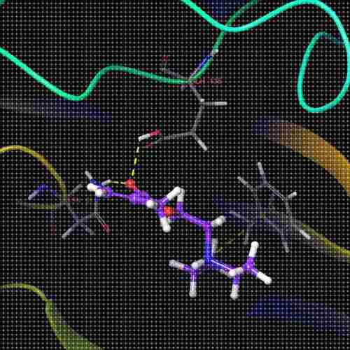 清北博士团队虚拟筛选/分子对接/蛋白互作/网络药理学/多肽对接