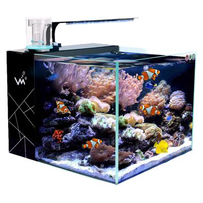 小型桌面自循环过滤海水小丑鱼缸