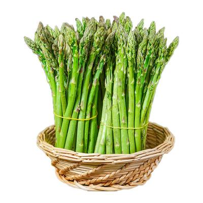 现摘现发山东菏泽曹县新鲜芦笋新鲜蔬菜嫩青笋绿鲜芦笋嫩龙须菜卢