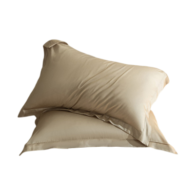 红豆60支天丝枕套夏季枕芯