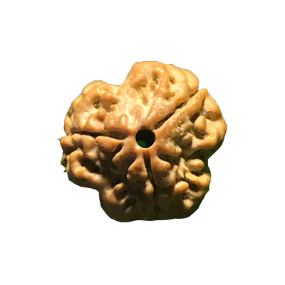 尼泊尔三3瓣大金刚新籽珠菩提子