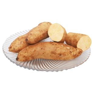 云南黄皮板栗黄金蜜薯红薯9斤现挖新鲜糖心小香薯黄心沙地瓜番薯