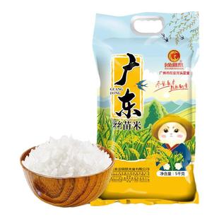 金凤凰广东丝苗5KG特产送礼炒煲仔饭米南方农家籼米香细长粒大米