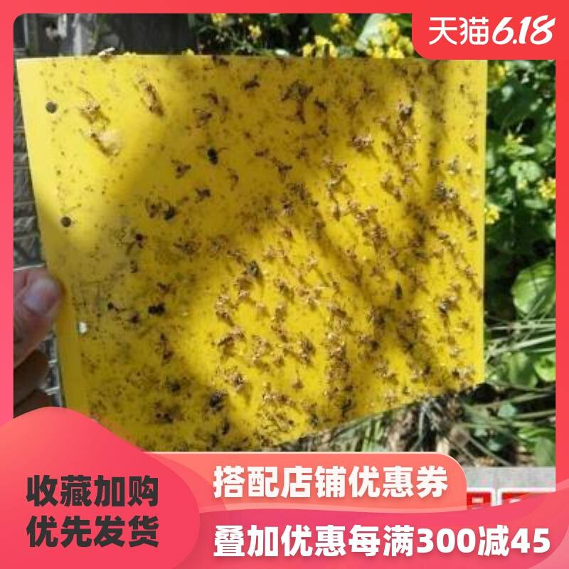 农用贴纸灭蚊虫捕蝇贴专用大棚粘纸室内粘蝇纸粘虫板蔬菜果园灭蚊